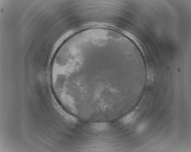 X0000066971090200604211900