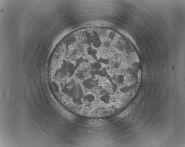 X0000066971091200604211900