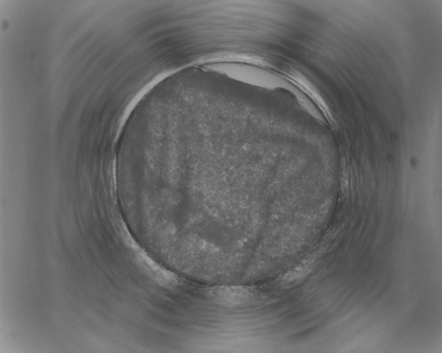 X0000066971092200604211900