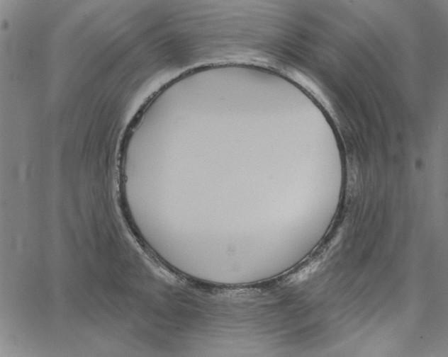 X0000066971093200604211900