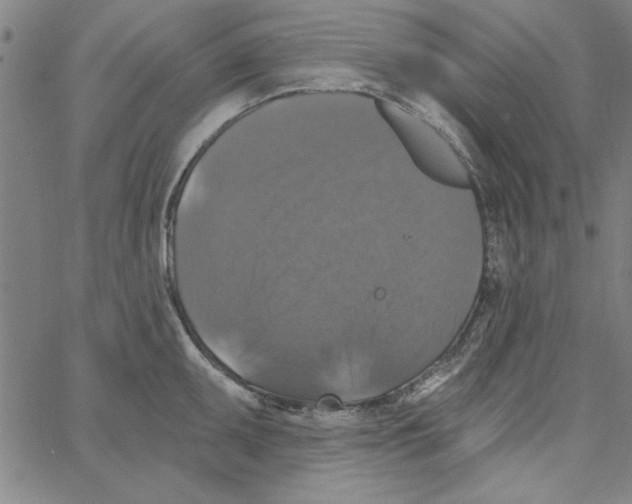 X0000066971095200604211900