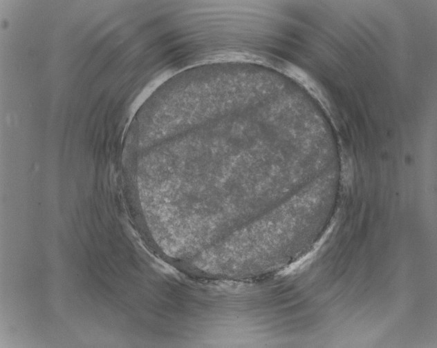 X0000066971097200604211900