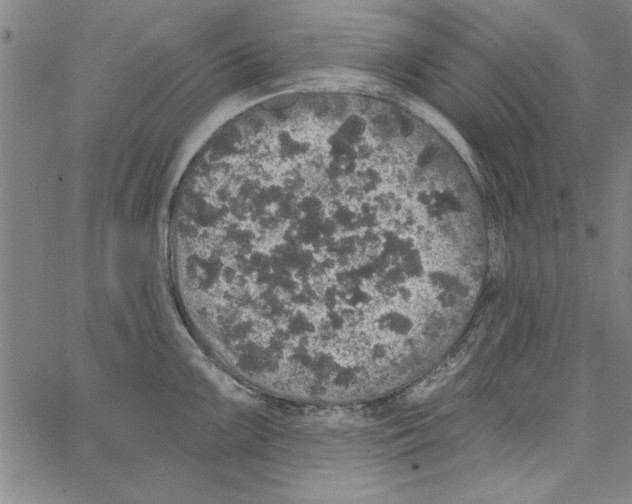 X0000066971099200604211900