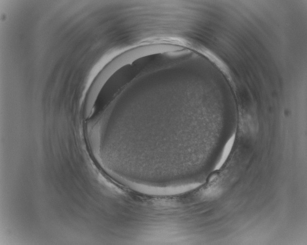 X0000066971102200604211900