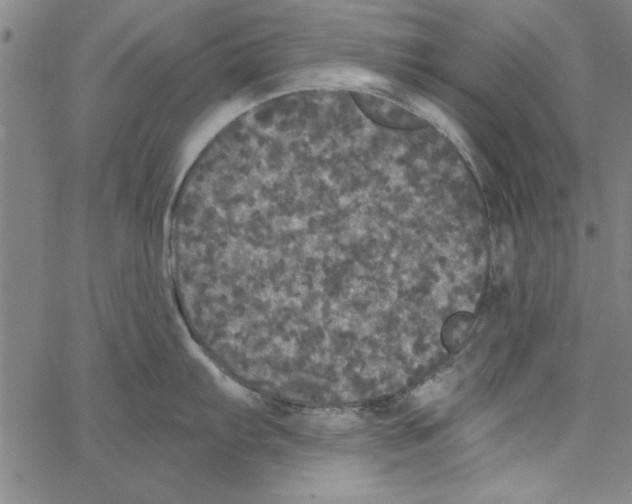 X0000066971103200604211900