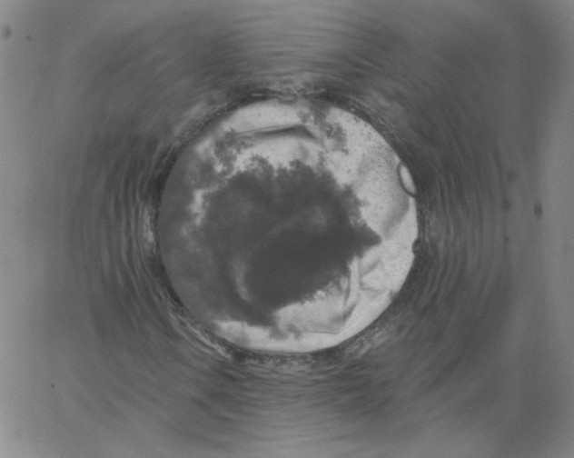 X0000066971106200604211859