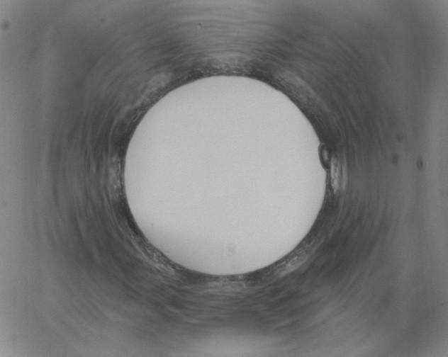 X0000066971107200604211859