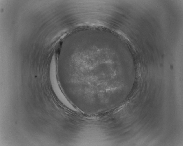 X0000066971110200604211859