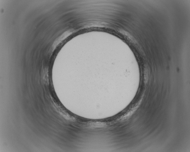 X0000066971113200604211859