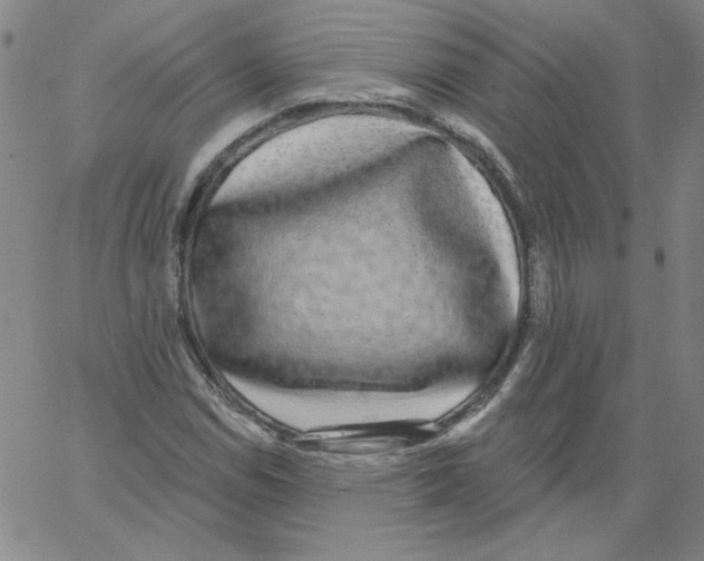 X0000066971114200604211859