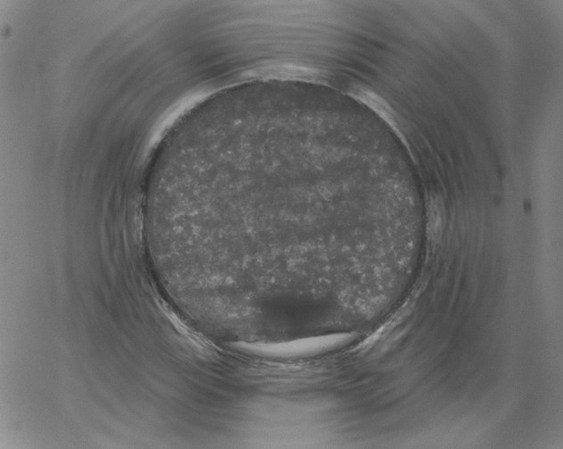 X0000066971115200604211859