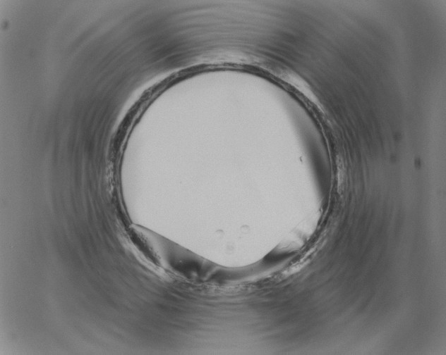 X0000066971116200604211859