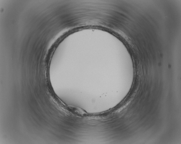 X0000066971118200604211859