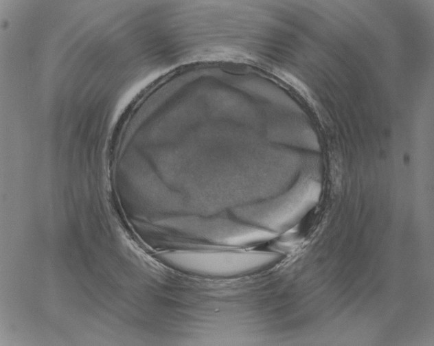 X0000066971120200604211859