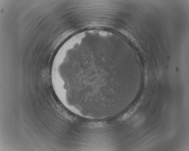 X0000066971121200604211859