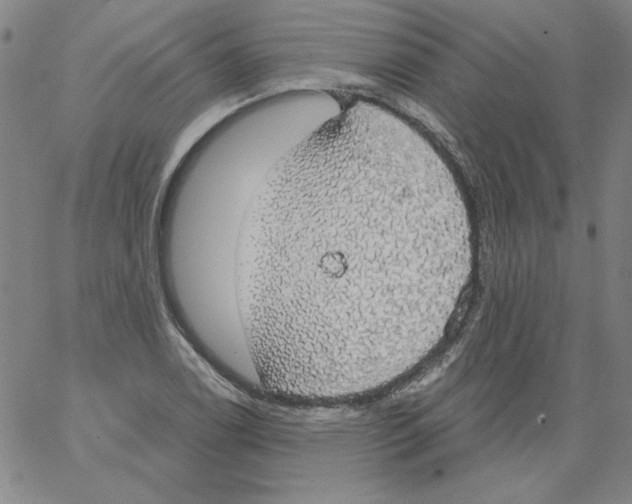 X0000066971122200604211859