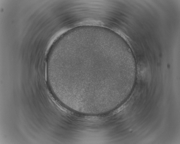 X0000066971123200604211859