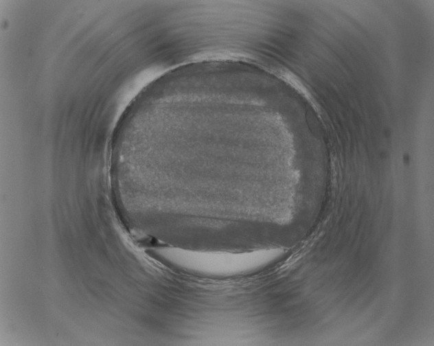 X0000066971124200604211859