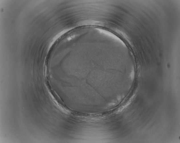 X0000066971125200604211859