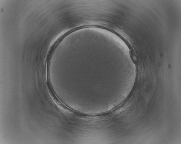 X0000066971127200604211900