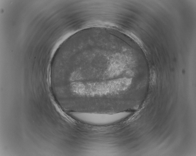 X0000066971128200604211900