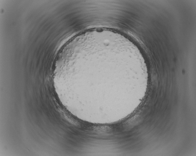 X0000066971129200604211900