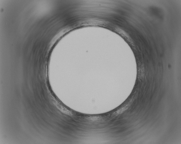 X0000066971130200604211900