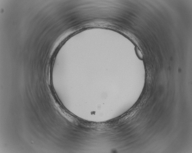 X0000066971131200604211900