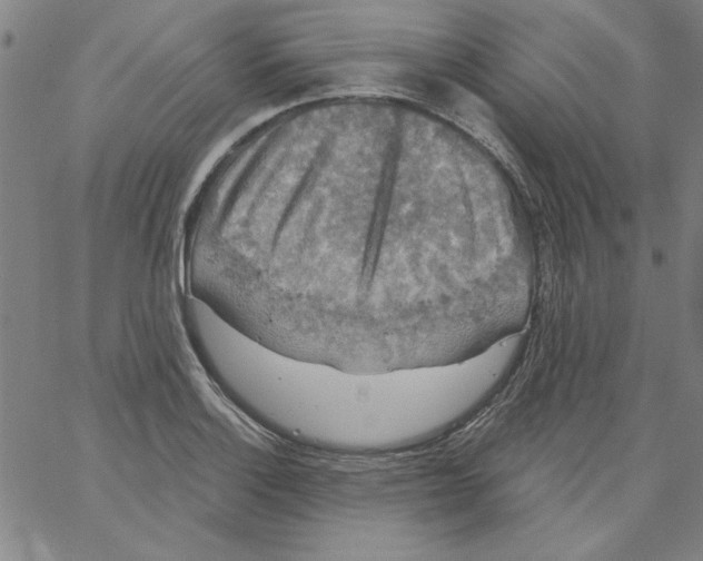 X0000066971132200604211900