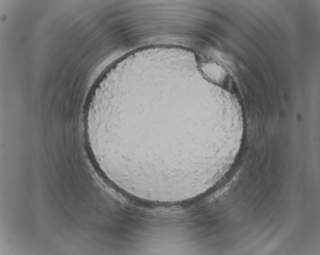 X0000066971133200604211900