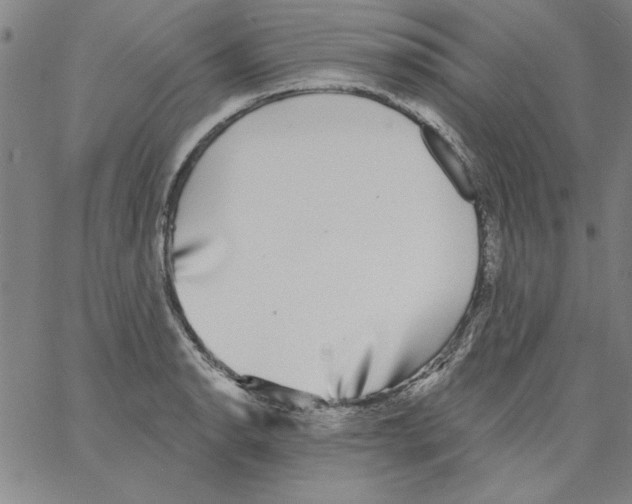 X0000066971134200604211900