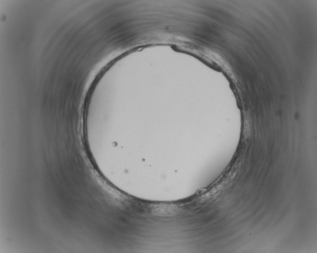 X0000066971136200604211900