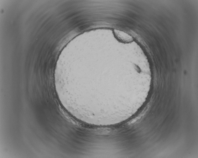 X0000066971137200604211900