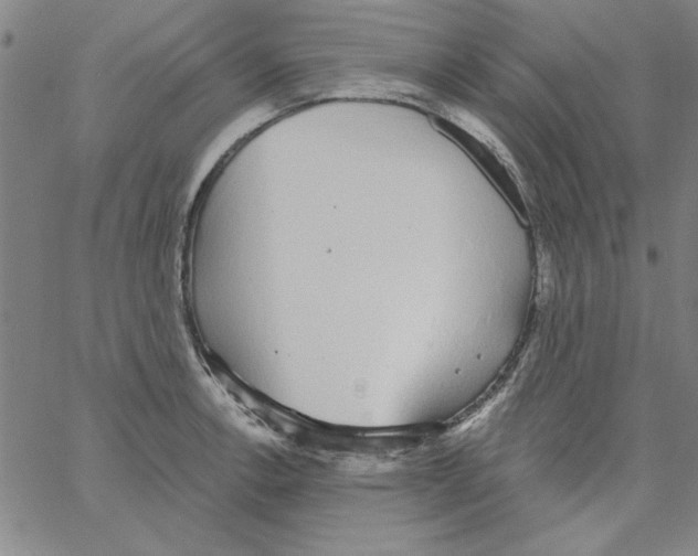 X0000066971138200604211900