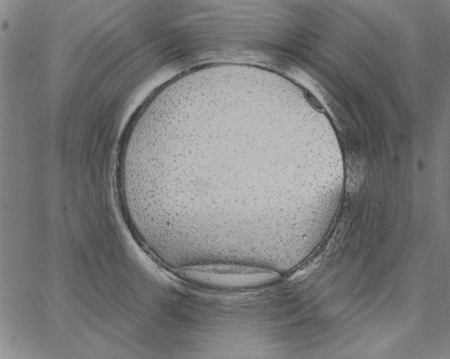 X0000066971139200604211900