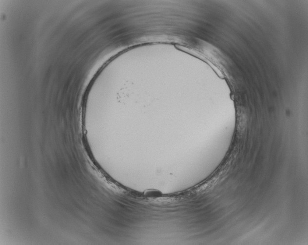 X0000066971140200604211900