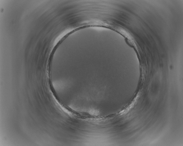 X0000066971141200604211900