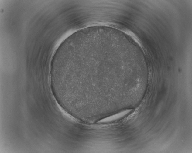 X0000066971143200604211900