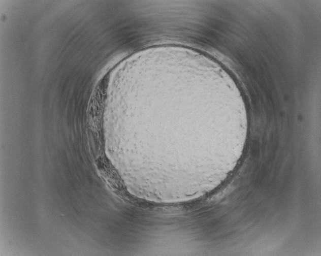 X0000066971145200604211900