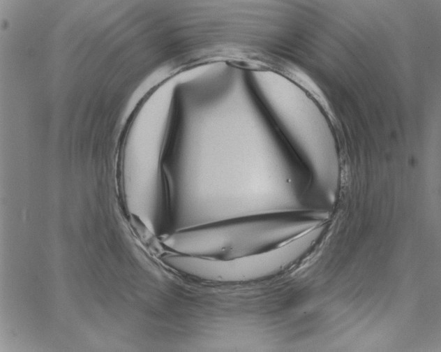 X0000066971146200604211900