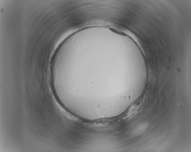 X0000066971147200604211900