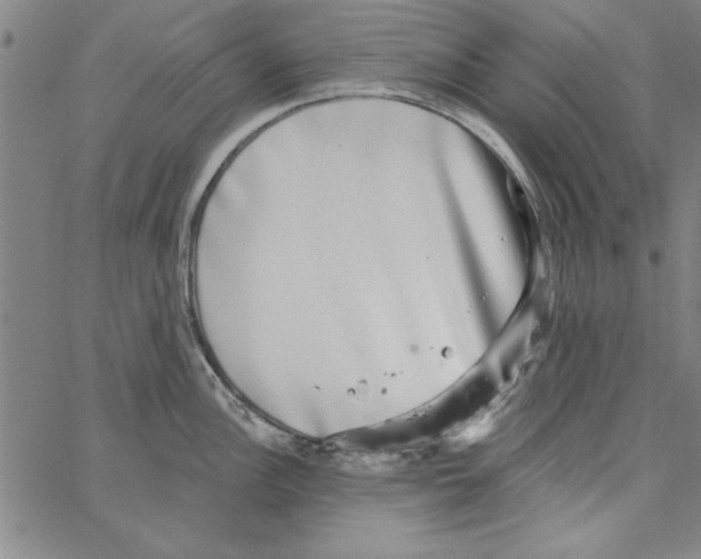 X0000066971148200604211900