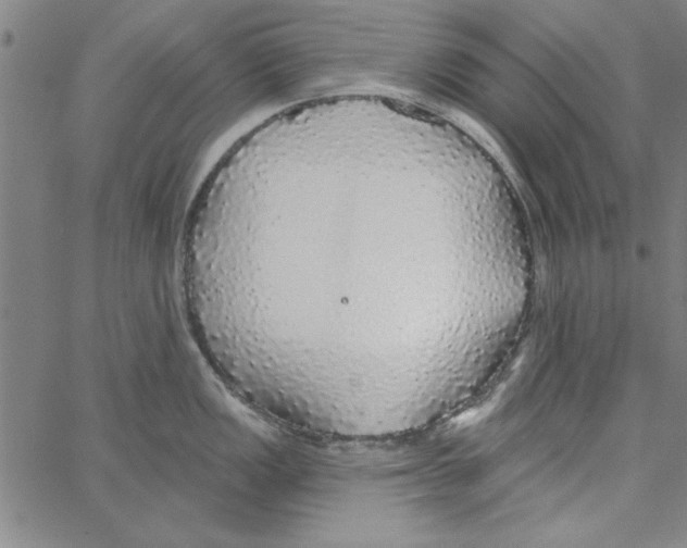 X0000066971149200604211900