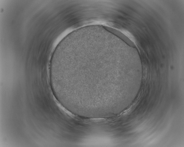 X0000066971151200604211900