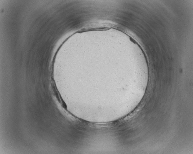 X0000066971152200604211900