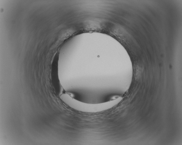 X0000066971153200604211859