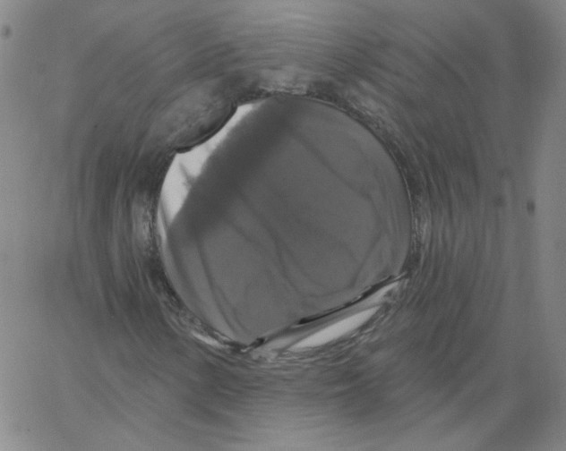 X0000066971154200604211859