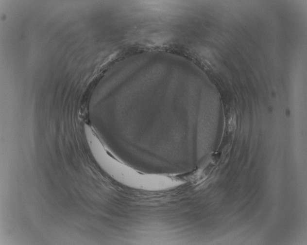 X0000066971156200604211859