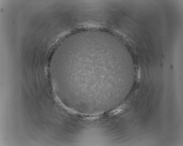 X0000066971157200604211859