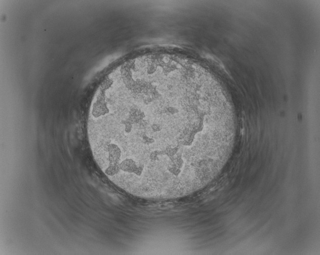 X0000066971159200604211859